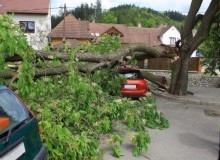 Kwikfynd Tree Cutting Services
abbotsham
