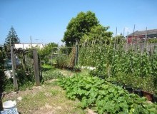 Kwikfynd Vegetable Gardens
abbotsham